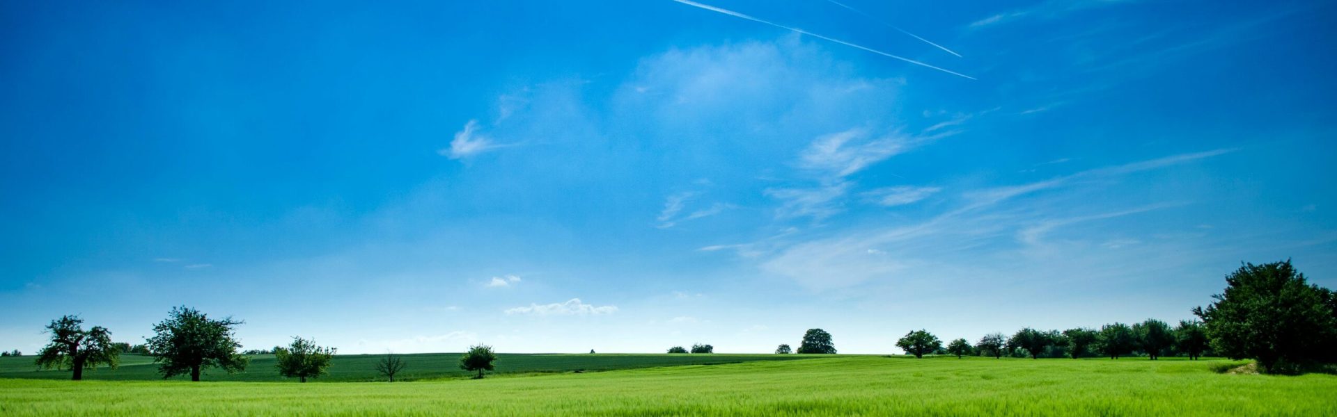 Tranquil rural landscape with lush green field and bright blue sky.